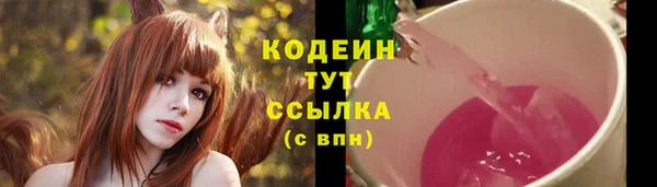 прущий лед Лагань