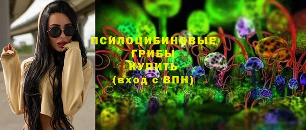 винт Ладушкин