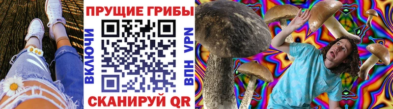 Купить  Евпатория  Псилоцибиновые грибы Cubensis 